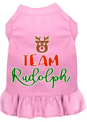 Team Rudolph Screen Print Dog Dress Light Pink Xxxl